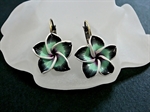 Picture of Brass earrings and Polymer clay.