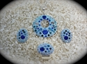 Picture of Three projects / Crystal Clay & Swarovski Chatons