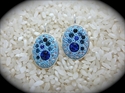 Picture of Earrings / Crystal Clay & Swarovski Chatons